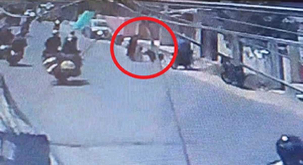 मासूम बच्ची पर जर्मन शेफर्ड ने किया हमला, वीडियो वायरल